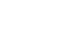 logo elfenix